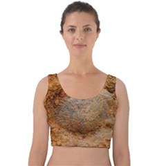 Shell Fossil Ii Velvet Crop Top by okhismakingart