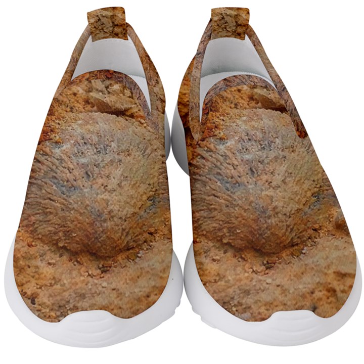 Shell Fossil II Kids  Slip On Sneakers