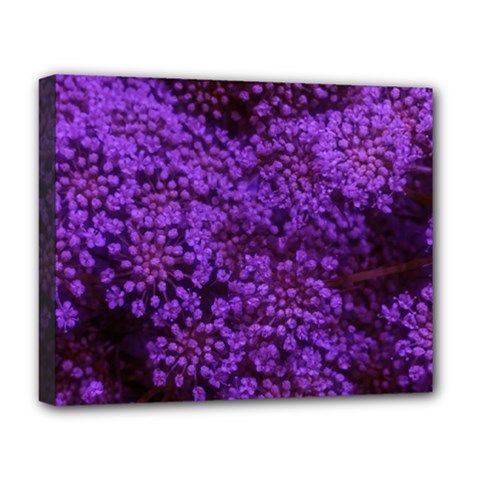 Purple Queen Anne s Lace Landscape Deluxe Canvas 20  X 16  (stretched) by okhismakingart