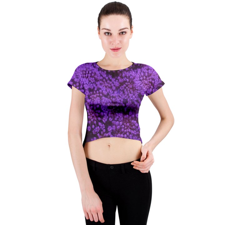 Purple Queen Anne s Lace Landscape Crew Neck Crop Top