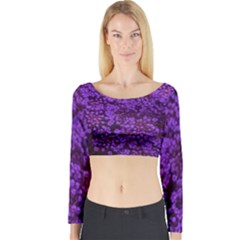 Purple Queen Anne s Lace Landscape Long Sleeve Crop Top by okhismakingart