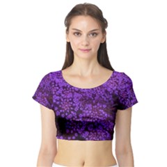 Purple Queen Anne s Lace Landscape Short Sleeve Crop Top by okhismakingart