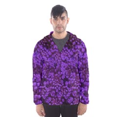 Purple Queen Anne s Lace Landscape Men s Hooded Windbreaker