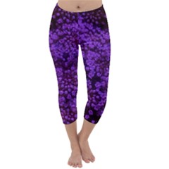 Purple Queen Anne s Lace Landscape Capri Winter Leggings  by okhismakingart