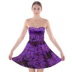 Purple Queen Anne s Lace Landscape Strapless Bra Top Dress by okhismakingart