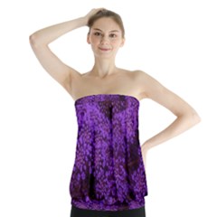 Purple Queen Anne s Lace Landscape Strapless Top by okhismakingart