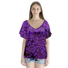 Purple Queen Anne s Lace Landscape V-neck Flutter Sleeve Top by okhismakingart