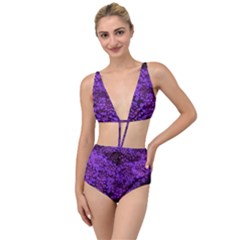 Purple Queen Anne s Lace Landscape Tied Up Two Piece Swimsuit