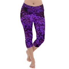 Purple Queen Anne s Lace Landscape Lightweight Velour Capri Yoga Leggings