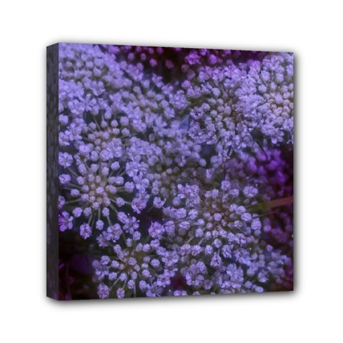 Blue Queen Anne s Lace Landscape Mini Canvas 6  X 6  (stretched) by okhismakingart