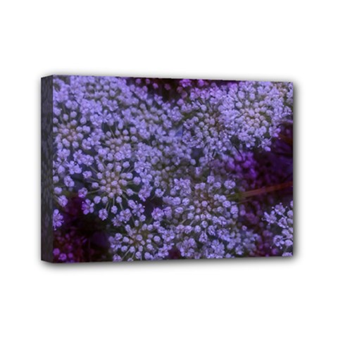 Blue Queen Anne s Lace Landscape Mini Canvas 7  X 5  (stretched) by okhismakingart