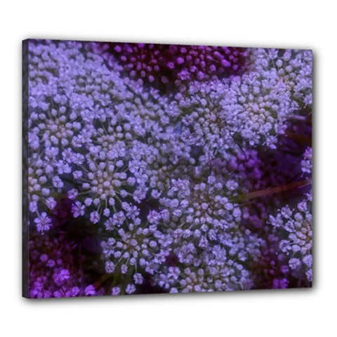 Blue Queen Anne s Lace Landscape Canvas 24  X 20  (stretched) by okhismakingart