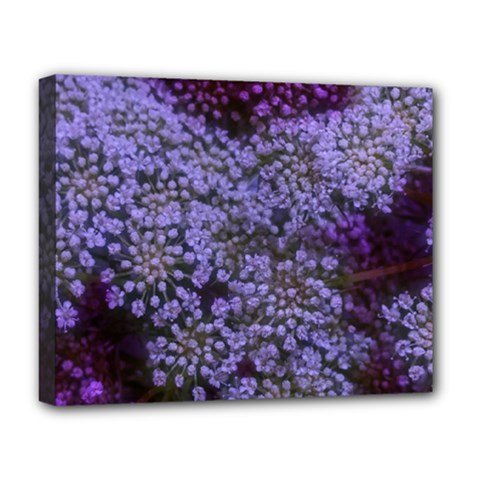 Blue Queen Anne s Lace Landscape Deluxe Canvas 20  X 16  (stretched) by okhismakingart