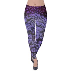 Blue Queen Anne s Lace Landscape Velvet Leggings by okhismakingart