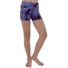 Blue Queen Anne s Lace Landscape Kids  Lightweight Velour Yoga Shorts by okhismakingart