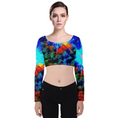 Psychedelic Spaceship Velvet Long Sleeve Crop Top