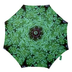 Green Queen Anne s Lace Landscape Hook Handle Umbrellas (small) by okhismakingart