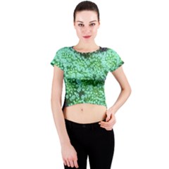 Green Queen Anne s Lace Landscape Crew Neck Crop Top by okhismakingart