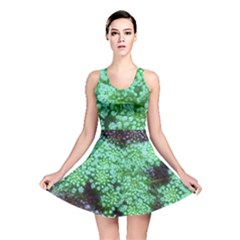 Green Queen Anne s Lace Landscape Reversible Skater Dress by okhismakingart