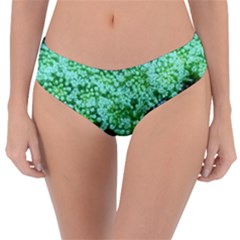 Green Queen Anne s Lace Landscape Reversible Classic Bikini Bottoms by okhismakingart