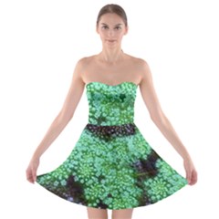 Green Queen Anne s Lace Landscape Strapless Bra Top Dress by okhismakingart