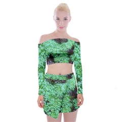 Green Queen Anne s Lace Landscape Off Shoulder Top With Mini Skirt Set