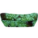 Green Queen Anne s Lace Landscape Car Seat Back Cushion  View3