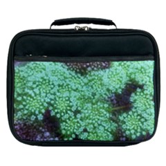 Green Queen Anne s Lace Landscape Lunch Bag