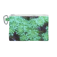 Green Queen Anne s Lace Landscape Canvas Cosmetic Bag (medium) by okhismakingart