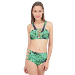 Green Queen Anne s Lace Landscape Cage Up Bikini Set