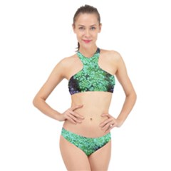 Green Queen Anne s Lace Landscape High Neck Bikini Set