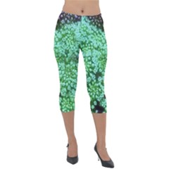 Green Queen Anne s Lace Landscape Lightweight Velour Capri Leggings  by okhismakingart