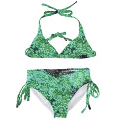 Green Queen Anne s Lace Landscape Kids  Classic Bikini Set