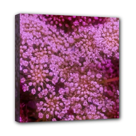 Pink Queen Anne s Lace Landscape Mini Canvas 8  X 8  (stretched) by okhismakingart