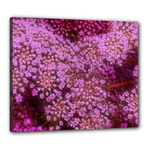 Pink Queen Anne s Lace Landscape Canvas 24  X 20  (stretched) by okhismakingart