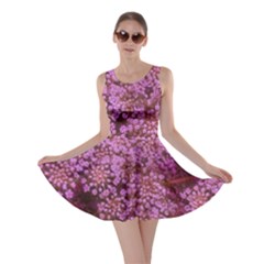 Pink Queen Anne s Lace Landscape Skater Dress by okhismakingart