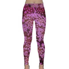 Pink Queen Anne s Lace Landscape Classic Yoga Leggings by okhismakingart