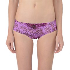 Pink Queen Anne s Lace Landscape Classic Bikini Bottoms