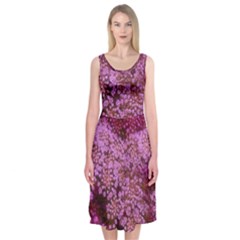 Pink Queen Anne s Lace Landscape Midi Sleeveless Dress by okhismakingart