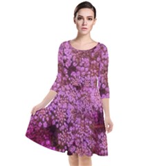 Pink Queen Anne s Lace Landscape Quarter Sleeve Waist Band Dress