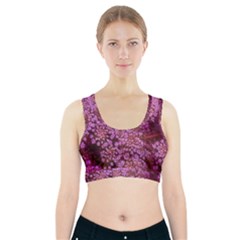 Pink Queen Anne s Lace Landscape Sports Bra With Pocket by okhismakingart