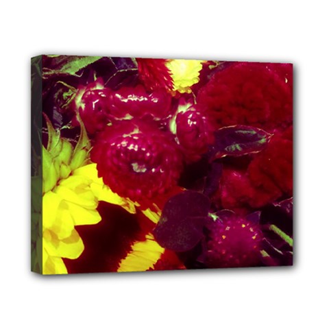 Sunflower And Cockscomb Canvas 10  X 8  (stretched) by okhismakingart