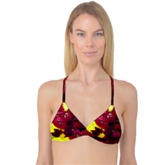 Sunflower And Cockscomb Reversible Tri Bikini Top by okhismakingart