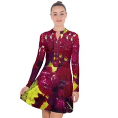 Sunflower And Cockscomb Long Sleeve Panel Dress