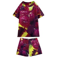 Sunflower And Cockscomb Kids  Swim Tee And Shorts Set