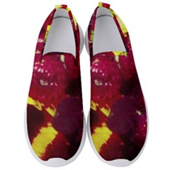 Sunflower And Cockscomb Men s Slip On Sneakers