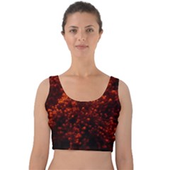 Red Goldenrod Velvet Crop Top