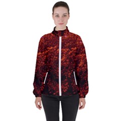 Red Goldenrod Women s High Neck Windbreaker by okhismakingart