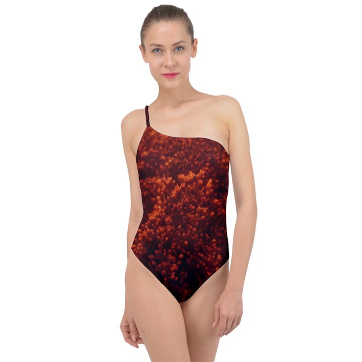 Red Goldenrod Classic One Shoulder Swimsuit