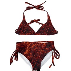 Red Goldenrod Kids  Classic Bikini Set by okhismakingart